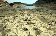 Más de un tercio de la superficie de España está desertificada y la provincias de Las Palmas y Alicante &quot;al cien por cien&quot;