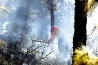 Los incendios han devastado en España cerca de 83.000 hectáreas este año