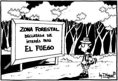 Avisos forestales