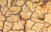 La pertinaz sequía y la guerra del agua